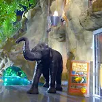 Magic Aqua Rock Gardens Hotel Benidorm