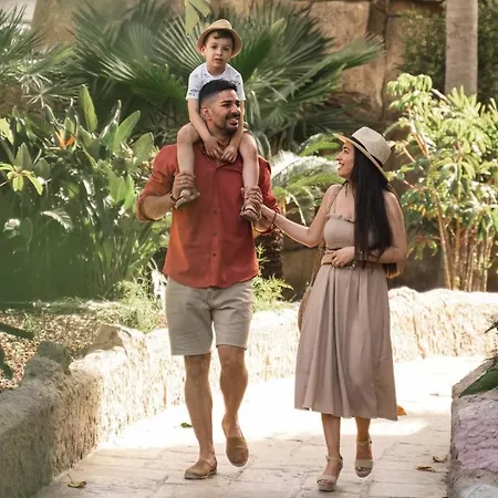 Magic Aqua Rock Gardens