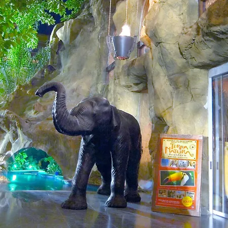 Magic Aqua Rock Gardens 酒店 貝尼多姆